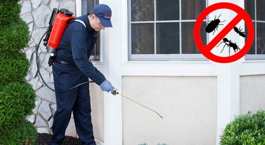 Mutki Kemirgen İlaçlama böcek ilaçlama ve haşere kontrolü — ilaclama-tr.com